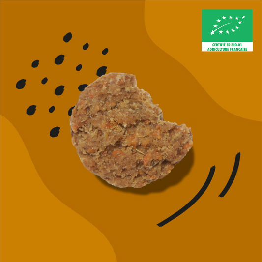 Biscuit salé Fromagère